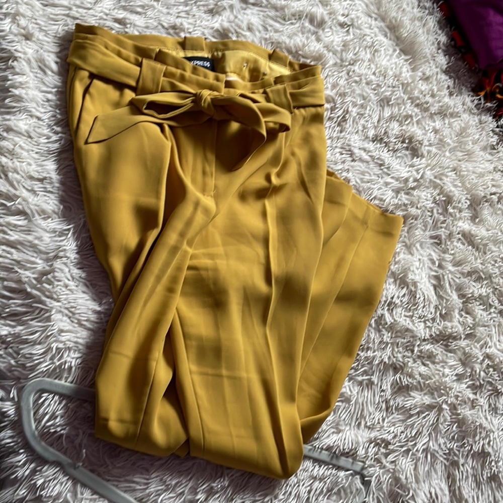 Express Work Pants
